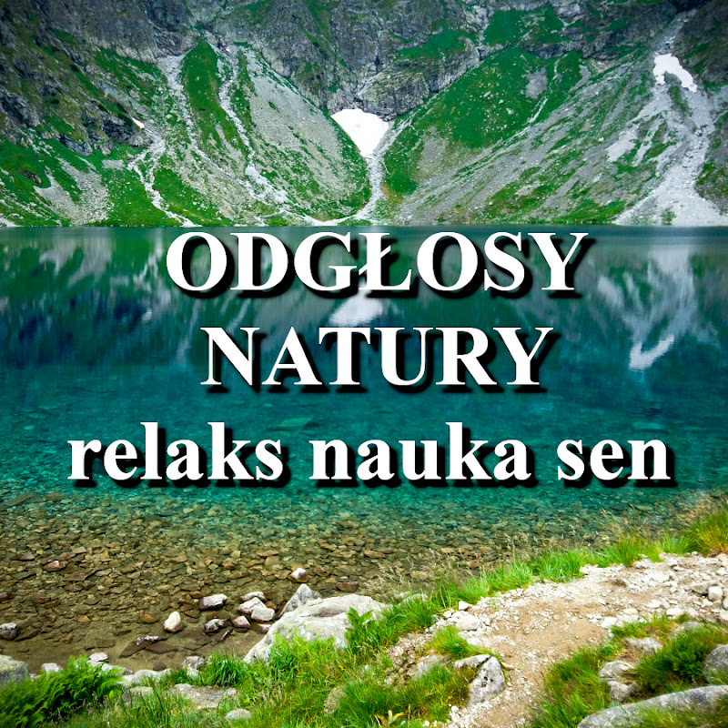Odgłosy Natury