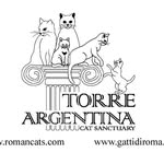 Colonia Felina