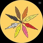 Circles for Reconciliation