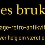 Hege Thon