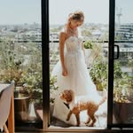 Cheng Yee's 10th Floor to Backyard Garden