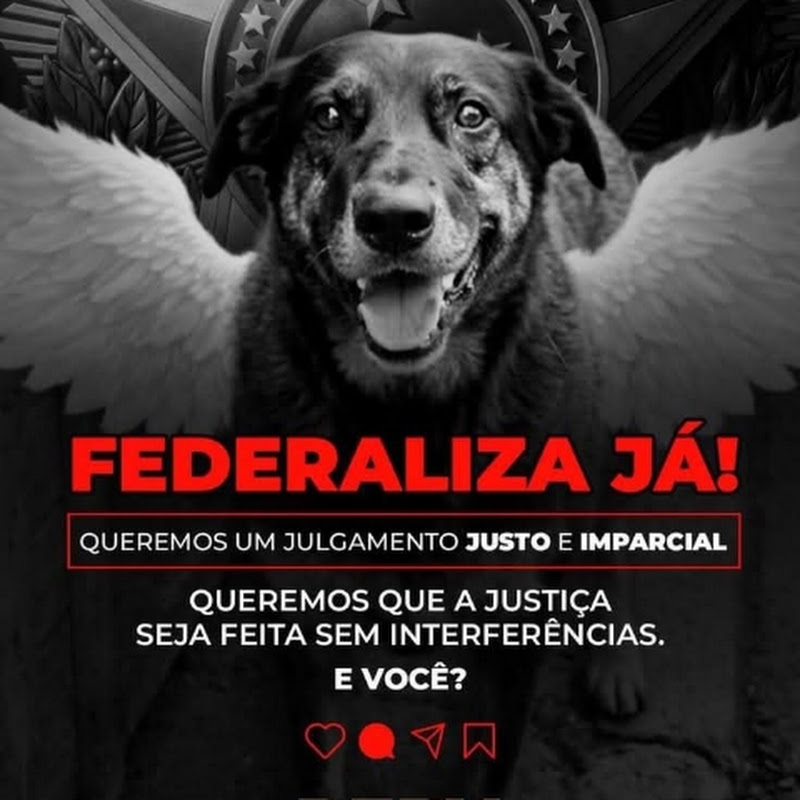 Justiça Por Orelha