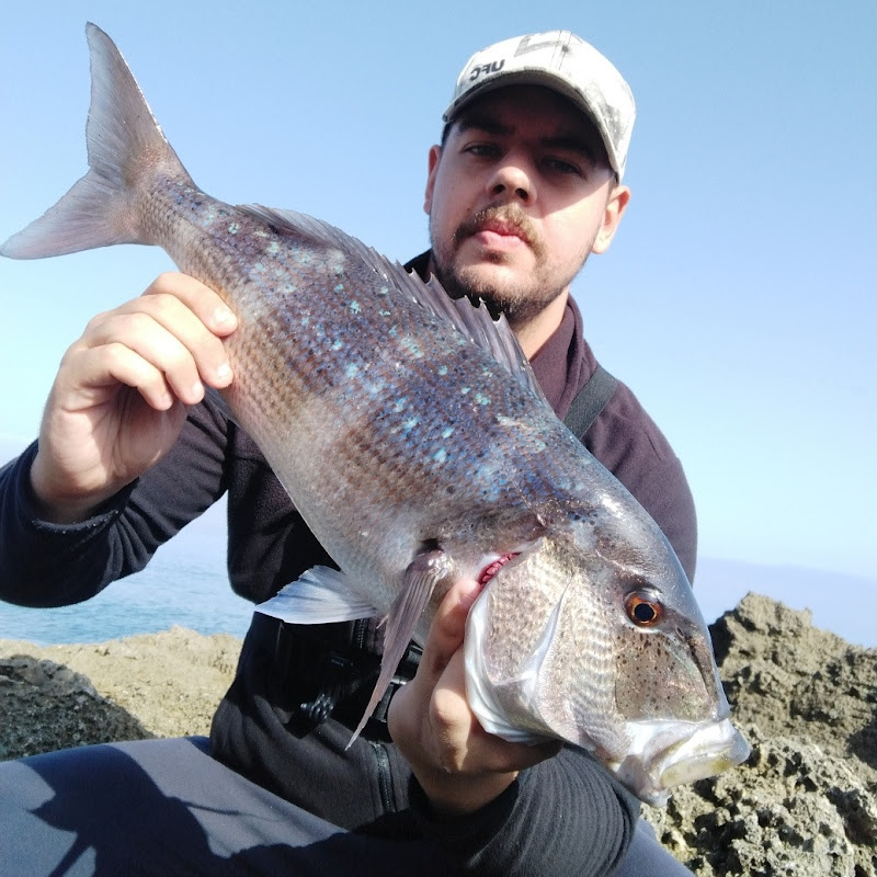 George Antwniou Spinner