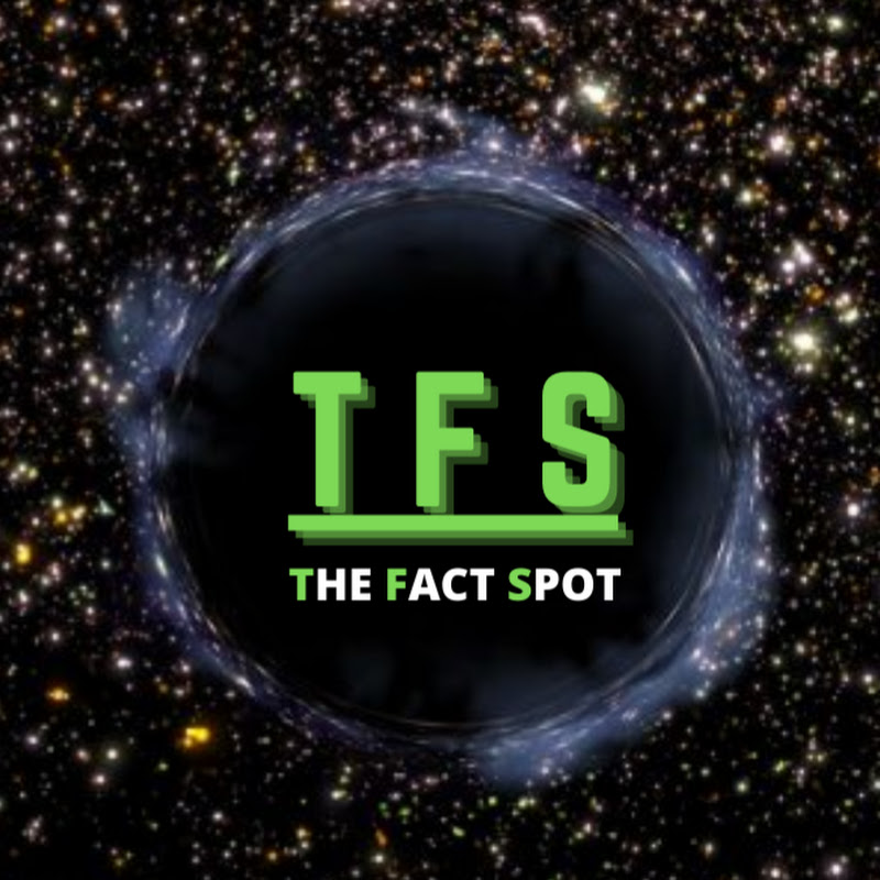 The Fact Spot