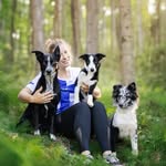 Bordercollie Jari and his pack