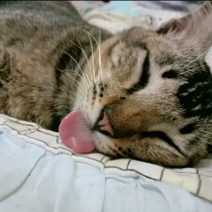 hilwa