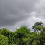 Ram Bilas meena