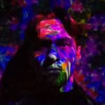 Robert Pallin Aaring