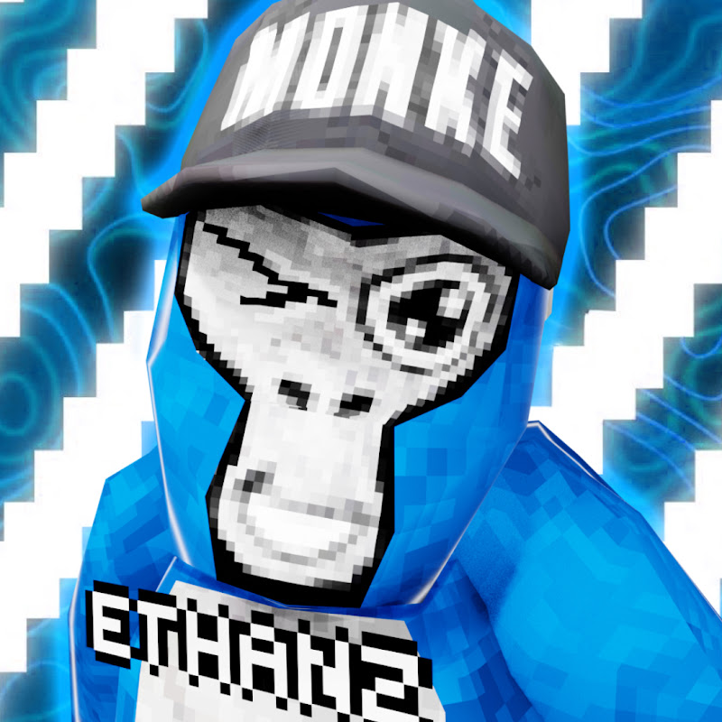 EthanzVR
