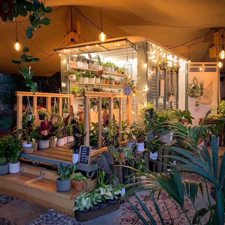 PLANT AND STORIES