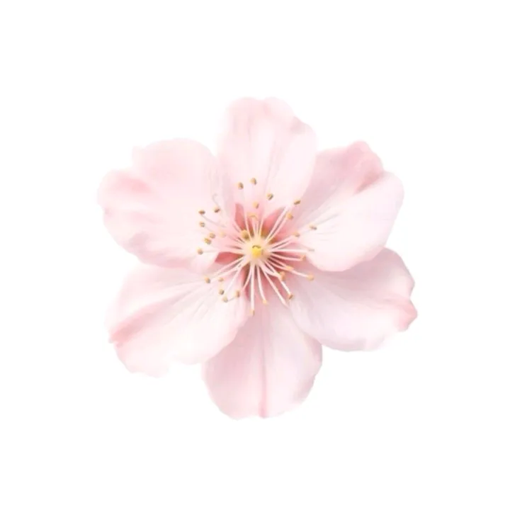 Working out Everyday