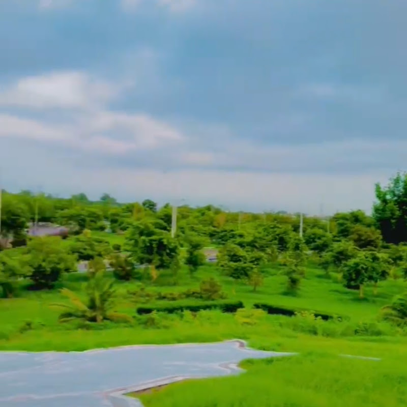 Masti in Mandi