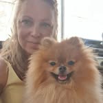 Pom Princes Rocky & Cooper 🐾❤️ Els Wijnants