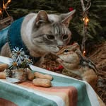 Fifi McFluffyPants | Owner of Fifi’s Chipmunk Cafe