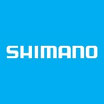 Shimano Road