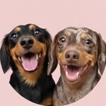 ✨Zoe e Malti✨