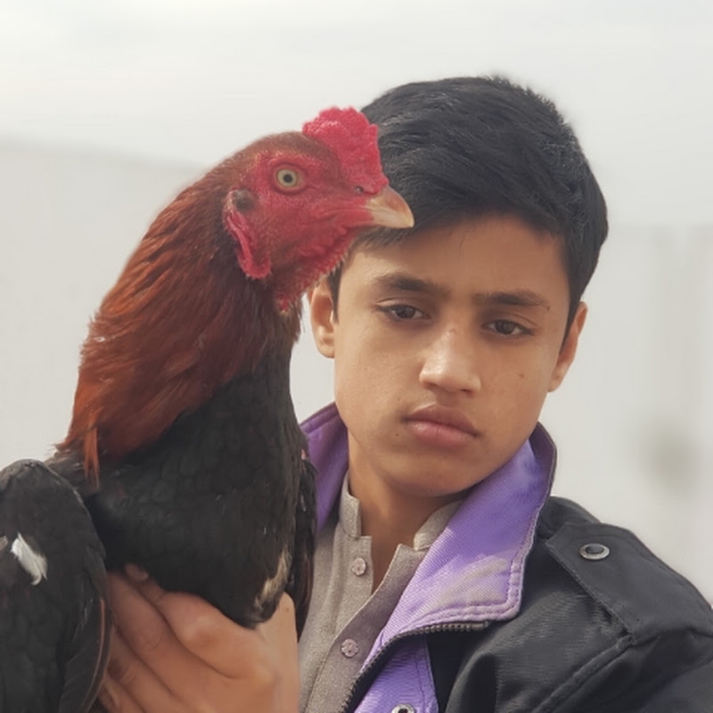 Asad vlogs