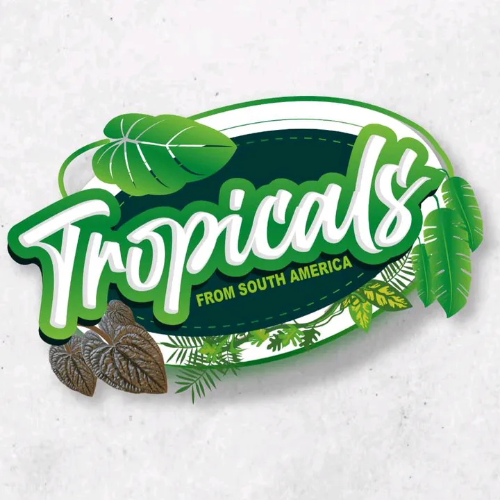 Tropicals Plants