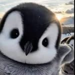 Animalworld