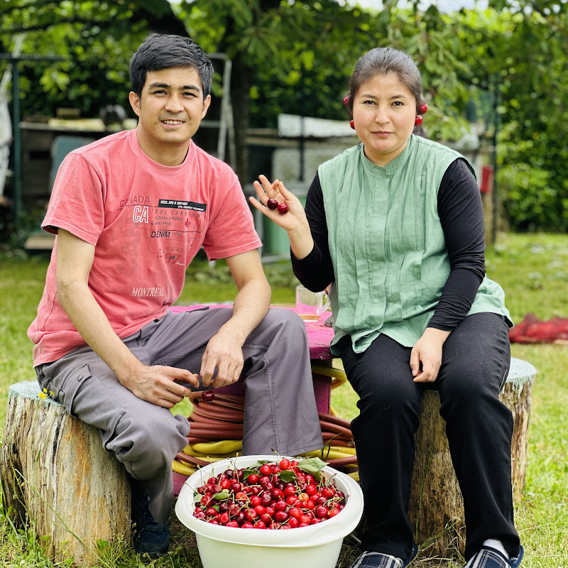 Organic Village Channel