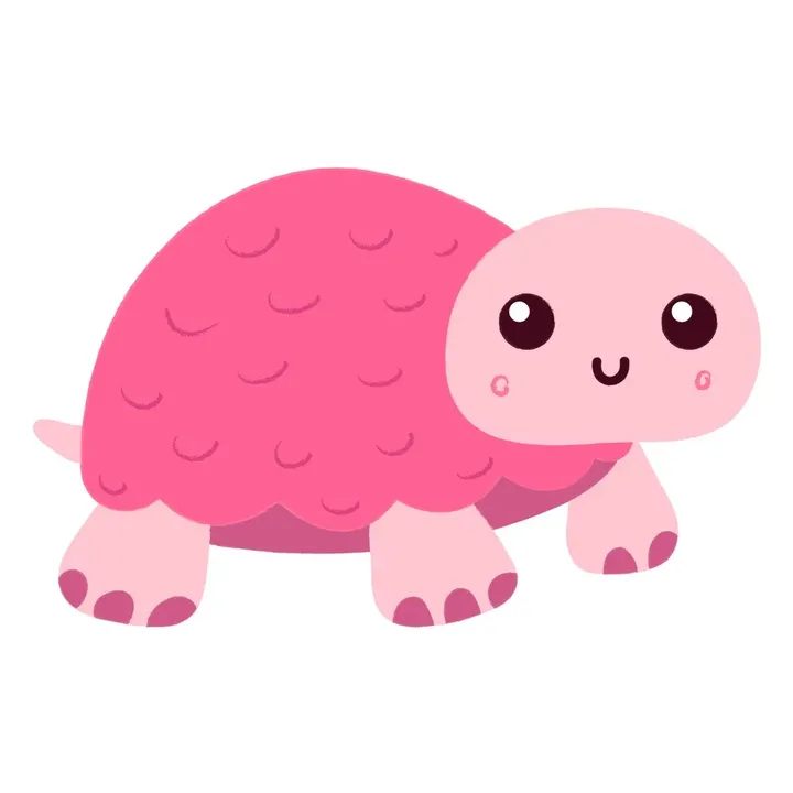 Turtle Time