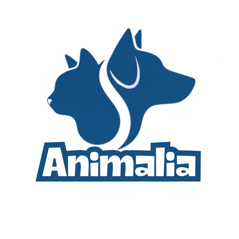 Animalia