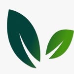 Aspen Financial management