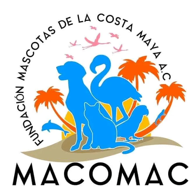 Macomac6195 Mentor