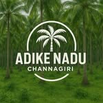 🌴🌴NAMMA CHANNAGIRI MEMES🌴🌴