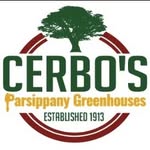 Cerbo's Parsippany Greenhouse