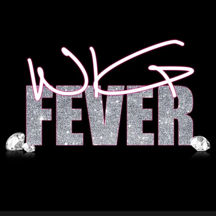 WigFever Hair