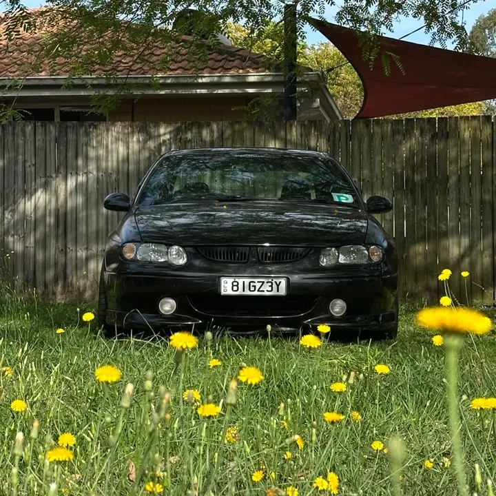 81GZ3Y