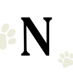 Noble Veterinary Clinics Dubai