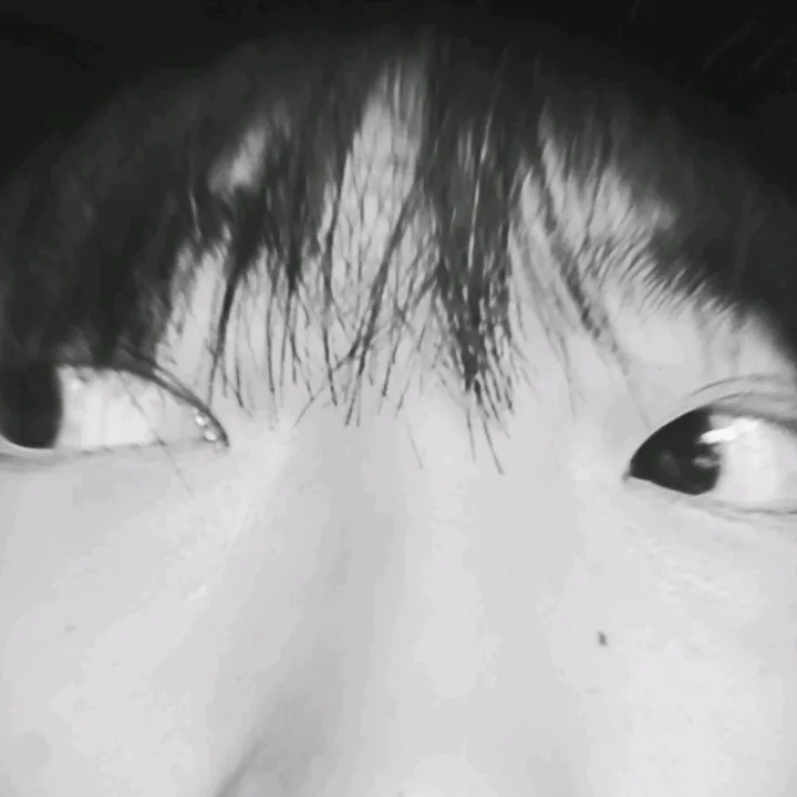 Benjamin Tan 陳豐諺