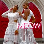 Meow and Barks | Retail Shopping