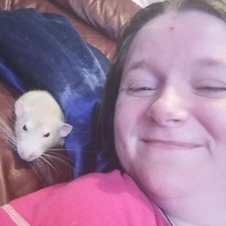 abbigael