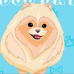 Bear Supreme | Designer Pet Clothes , Toys & Accessories