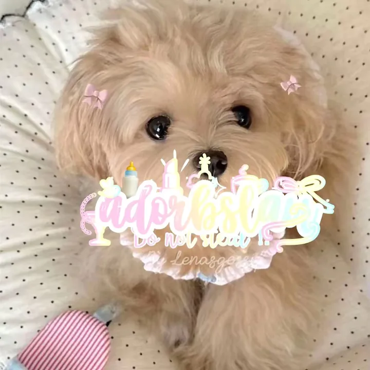 ⸝⸝ 𐔌🐶꒱𝐋𝐀𝐔𝐑𝐄𝐍༝༚ ⫶🌷ˎˊ˗