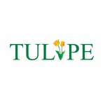 Tulipe