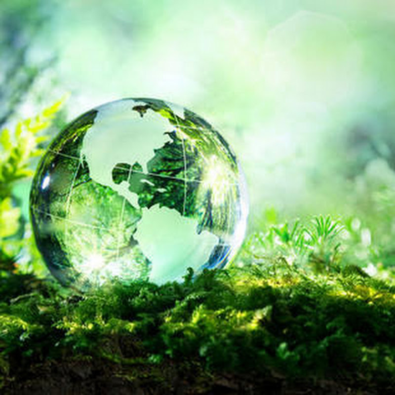 Insurance Nature