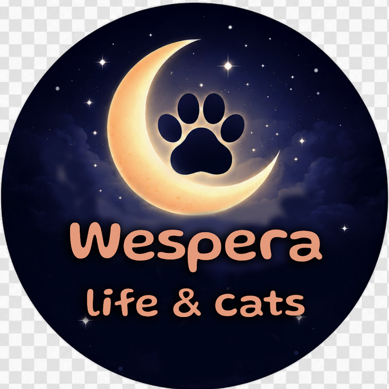 Wespera Life & Cats