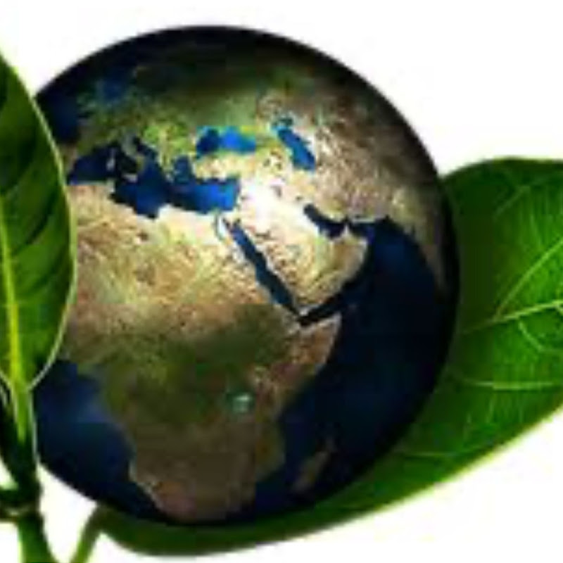 nature music relaxing