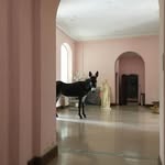 Villa Magnan Biarritz