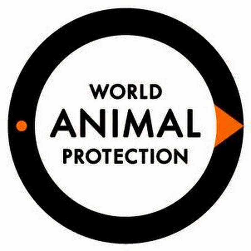 World Animal Protection Nederland