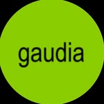 Lahden Lukio Gaudia OPKH