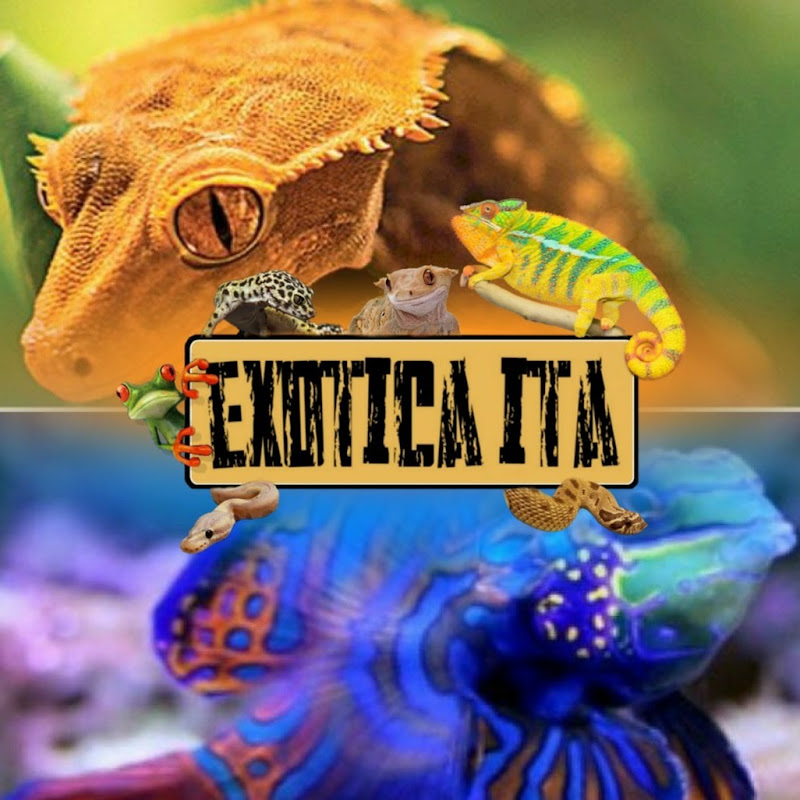 Exotica ita
