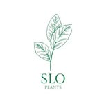 Slo Plants by Abe