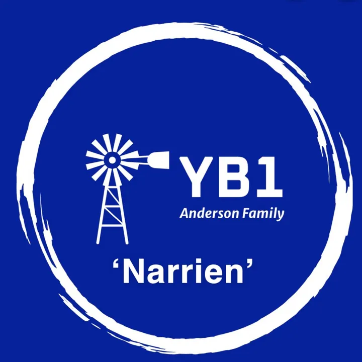 Narrien_Cattle_Co