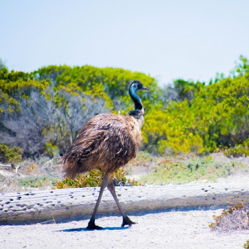 An Experience to share.