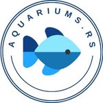 Aquariums & Exotic Fish 🐠